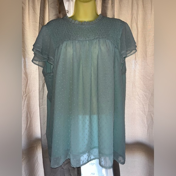 Purple Lava Tops - Sheer Baby Blue Top with Ruffle sleeves